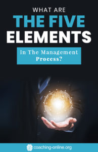 What Are The Five Elements In The Management​ Process