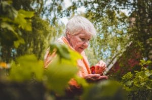 narcissist grandmother